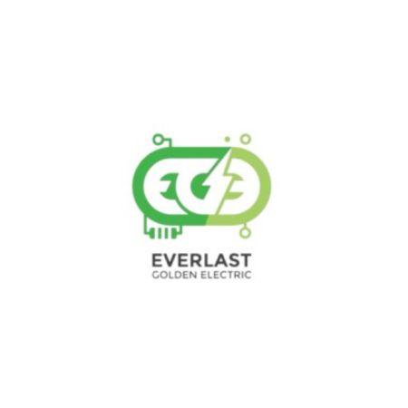 Everlast Golden Electric