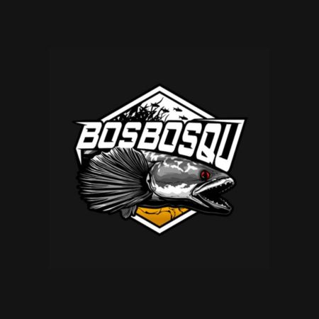 Lowongan Kerja Editor & Afiliator TikTok/Shopee - Tenaga Peking di Bos Bos Qu Store