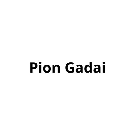 Pion Gadai
