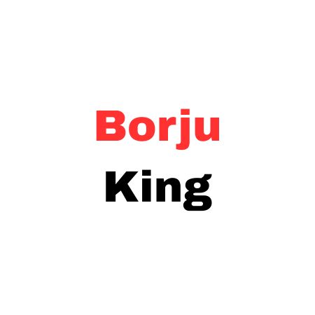 Lowongan Kerja Team Kitchen - Server di Borju King